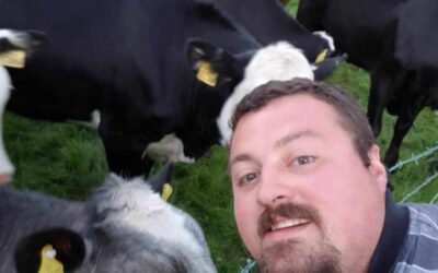 Cattle Watch – How Are The Cows?