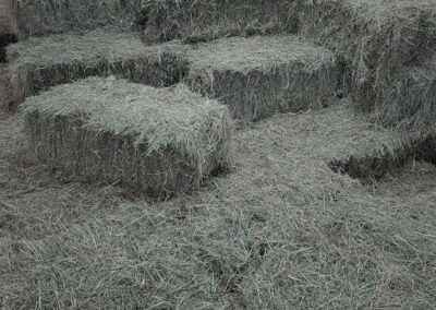 Keeping The Hay Dry | HandyCompactTractors.co.uk