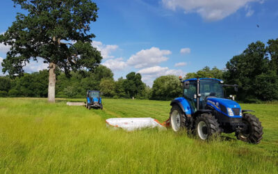 Farm Updates – How Have We Been Getting On?