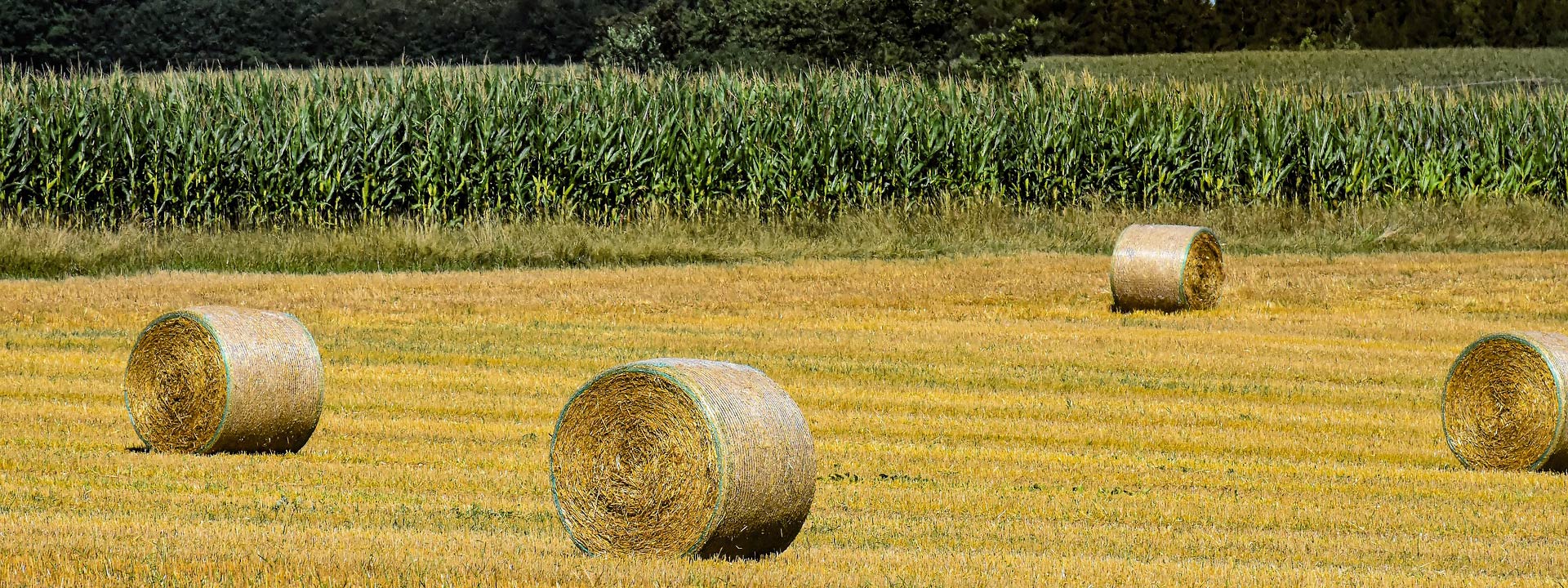 How Much Land Can A Compact Tractor Cover? | A First Time Buyers Guide To Compact Tractors